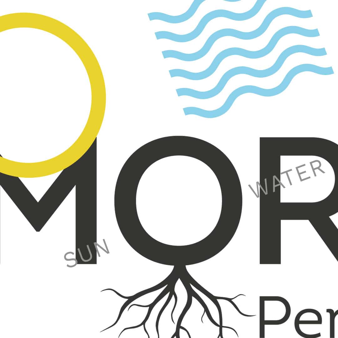 Vorschläge neues Logo für Morgarot